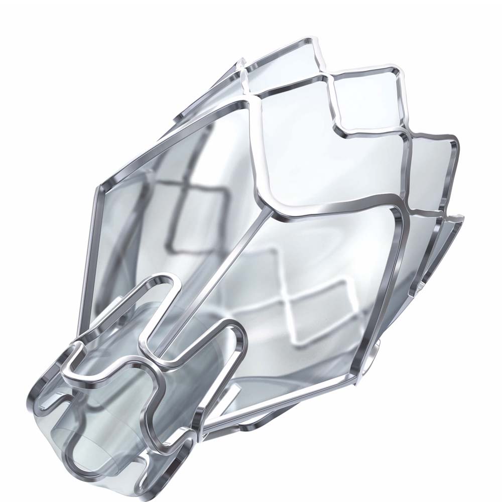 Zephyr Valve image
