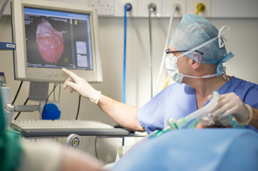 Doctor looking at heart